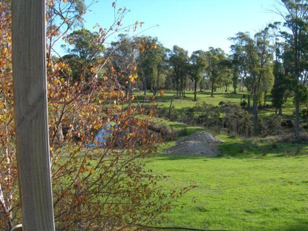 Platypus Park Country Retreat Villa Bridport Værelse billede