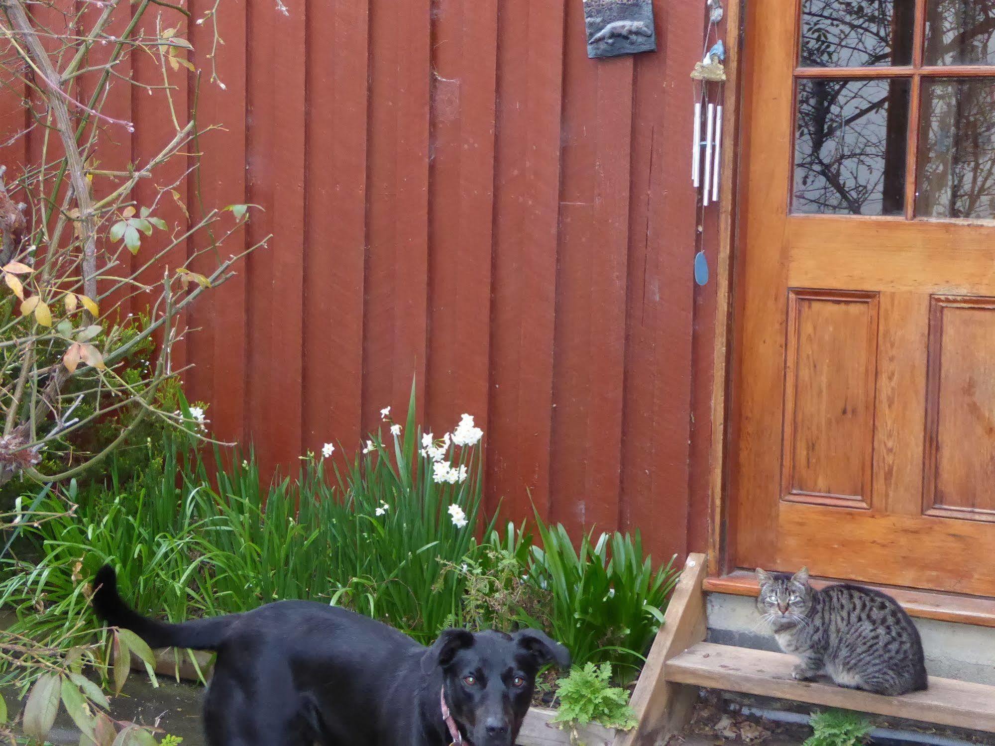 Platypus Park Country Retreat Villa Bridport Eksteriør billede