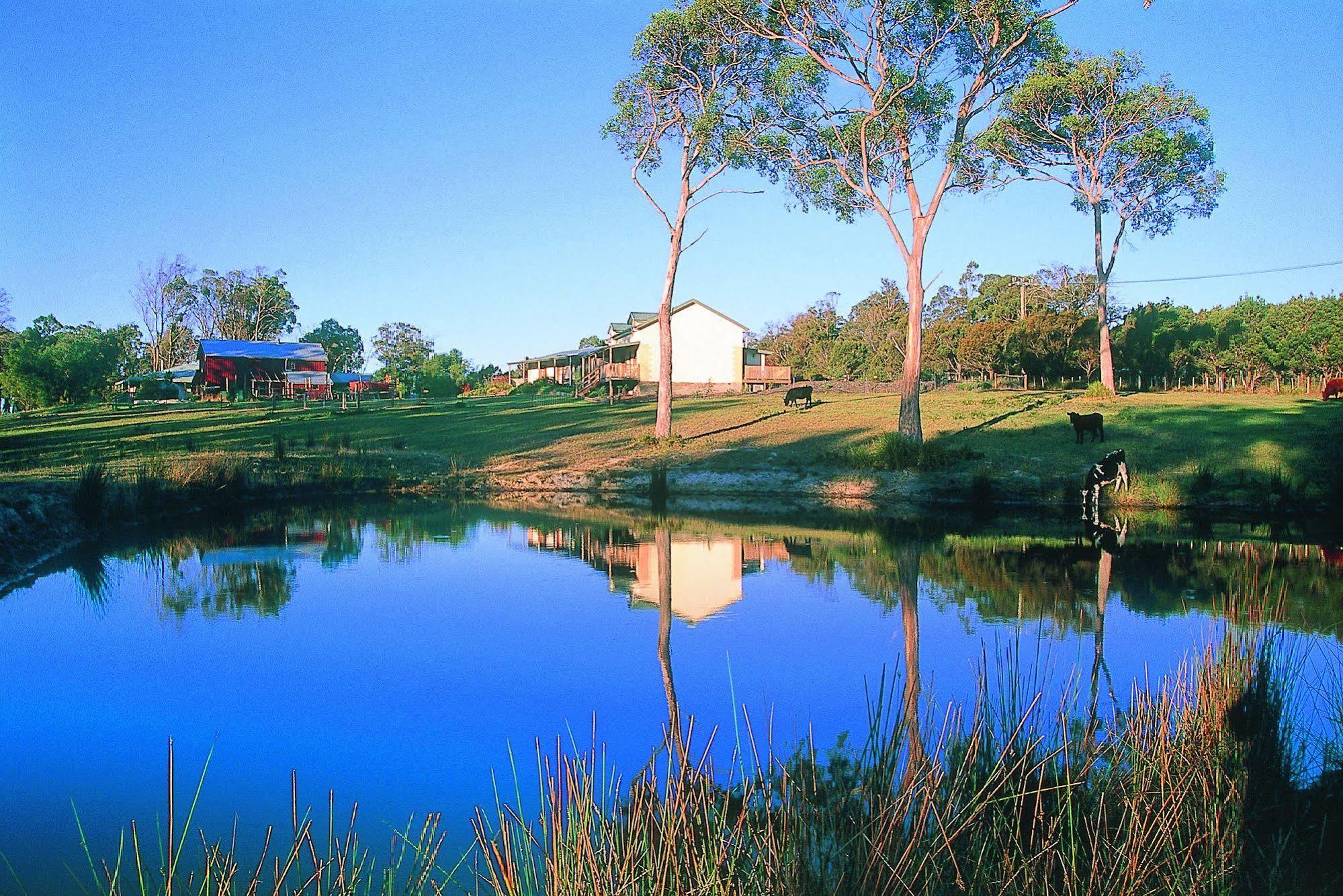 Platypus Park Country Retreat Villa Bridport Eksteriør billede