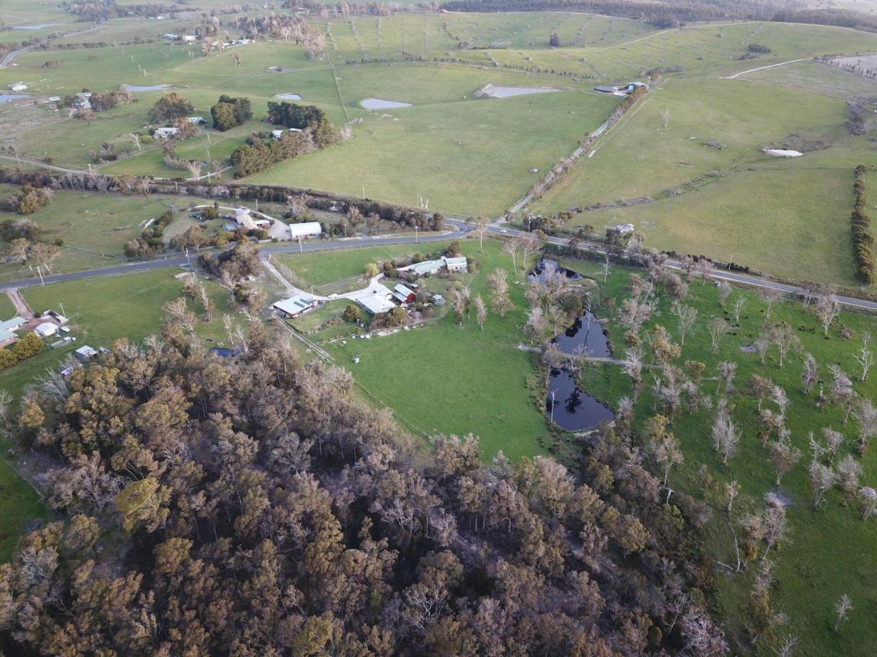 Platypus Park Country Retreat Villa Bridport Eksteriør billede
